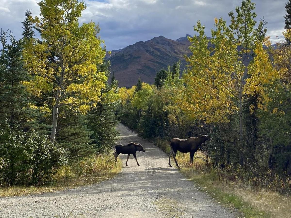 Denali Park View House Villa Healy Luaran gambar